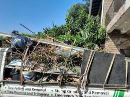 Best Shed Removal  in Evergreen, CO